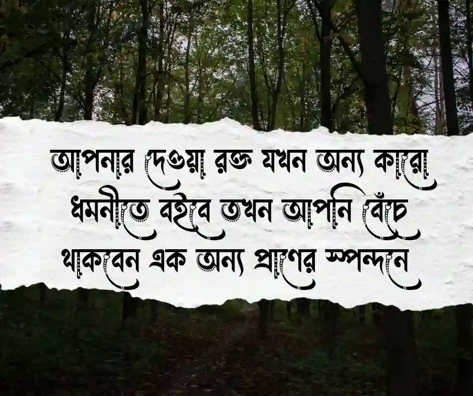 রক্তদান নিয়ে স্ট্যাটাস রক্তদানের স্ট্যাটাস