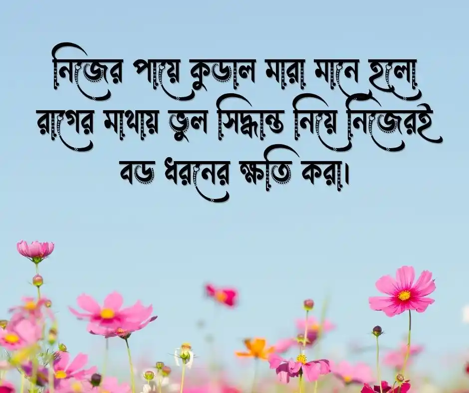 শিক্ষনীয় প্রবাদ বাক্য - শিক্ষামূলক উক্তি - শিক্ষামূলক ক্যাপশন