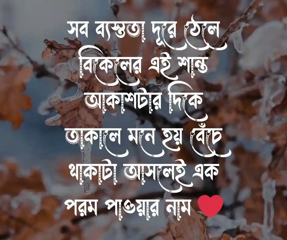 শুভ বিকেল নিয়ে ক্যাপশন
