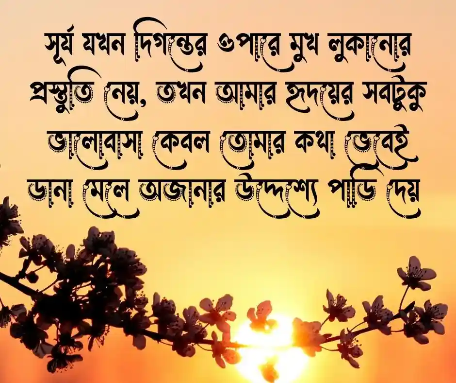 শুভ বিকেল রোমান্টিক মেসেজ