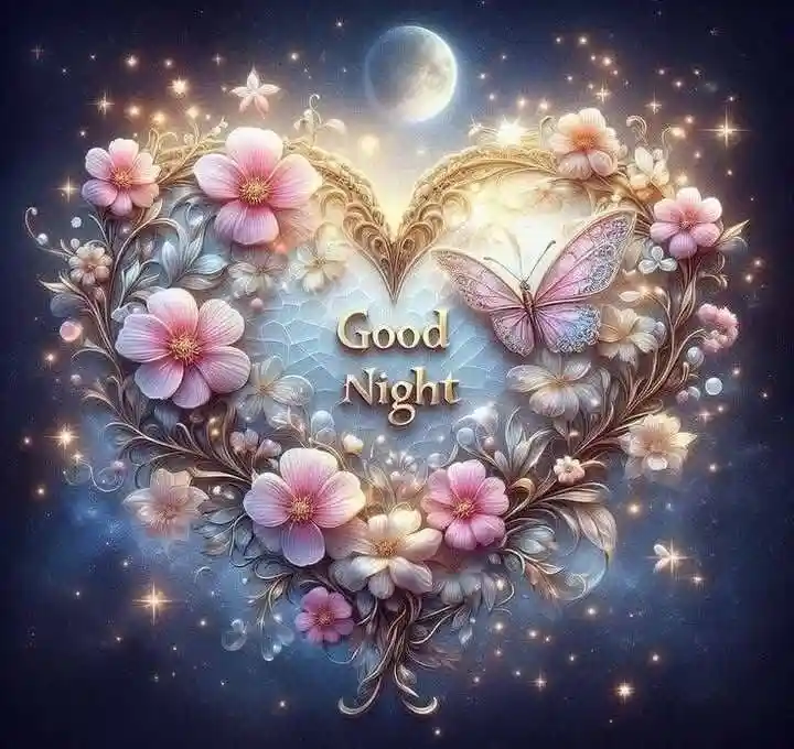 শুভ রাত্রি ক্যাপশন - Good Night Caption Images