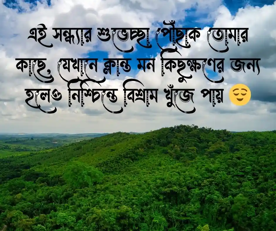 শুভ সন্ধ্যা ক্যাপশন.