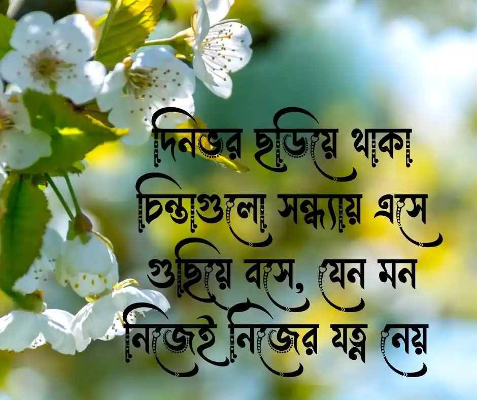 শুভ সন্ধ্যা ছবি ডাউনলোড