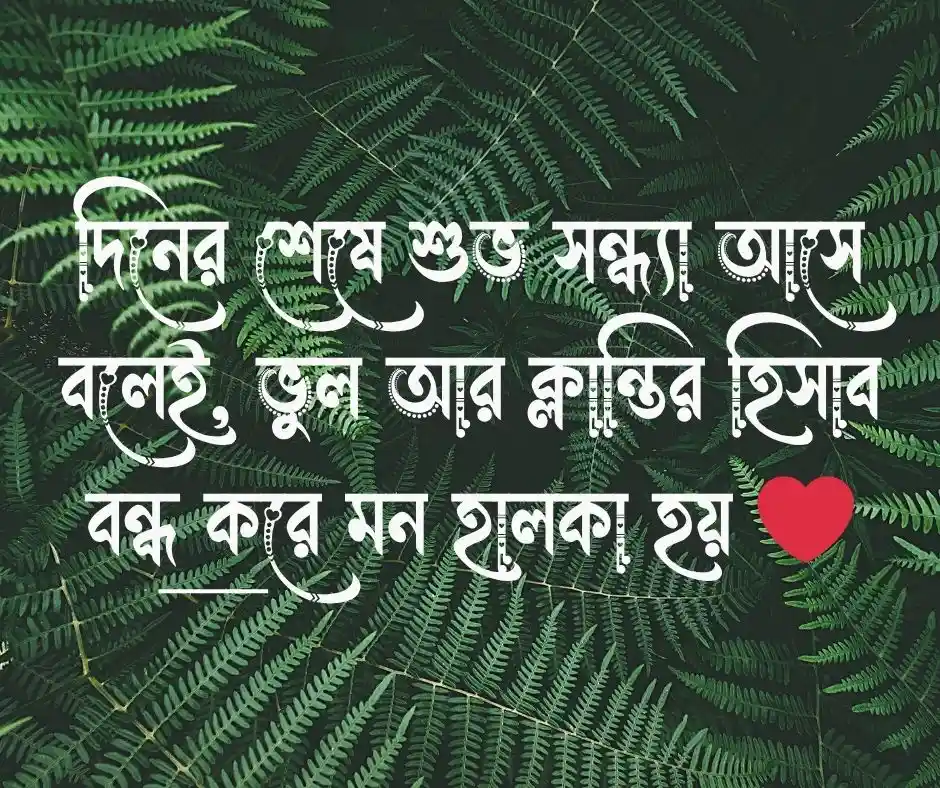 শুভ সন্ধ্যা নিয়ে উক্তি (1)