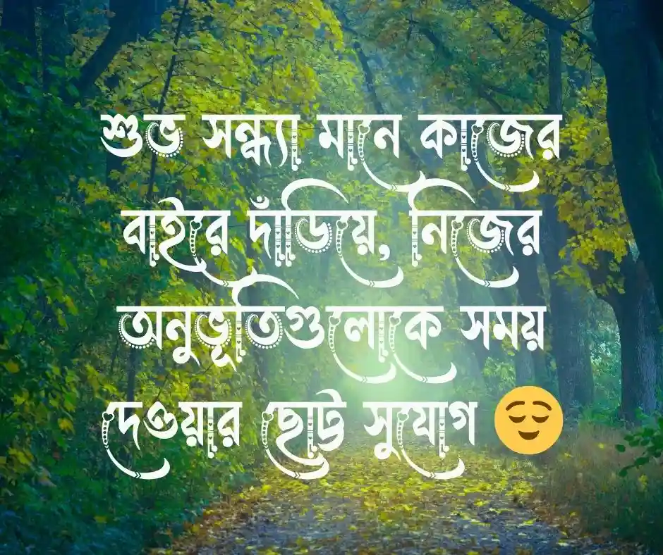 শুভ সন্ধ্যা নিয়ে ক্যাপশন (2)