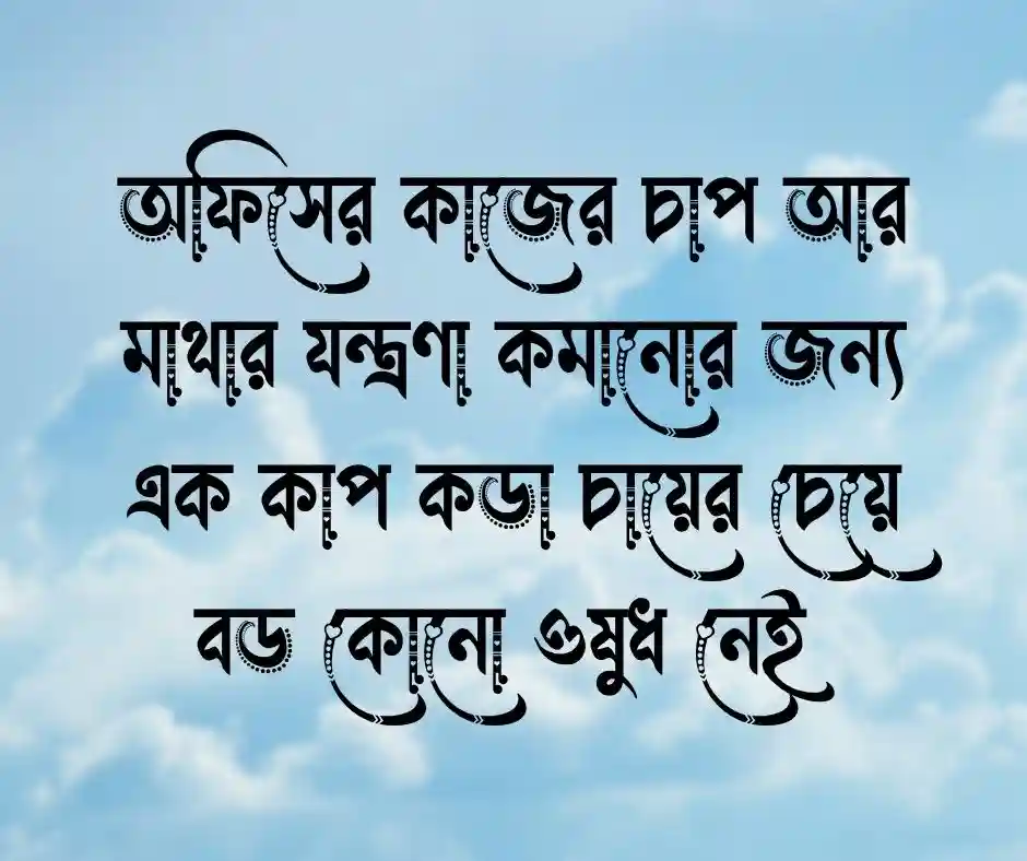 শেষ বিকেলের সূর্য নিয়ে ক্যাপশন