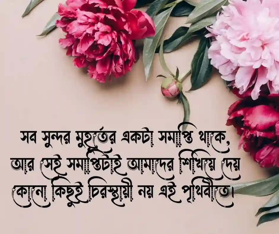 সমাপ্তি নিয়ে উক্তি