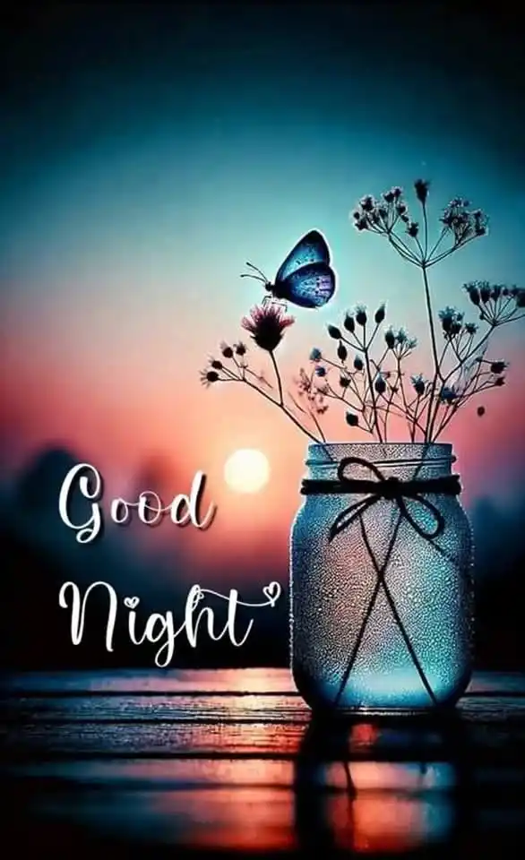 সুন্দর শুভ রাত্রি শুভেচ্ছা ক্যাপশন Good Night Caption