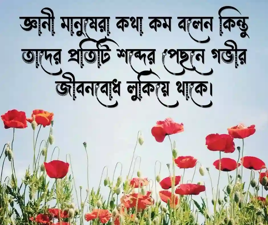 সেরা কিছু শিক্ষামূলক উক্তি - শিক্ষামূলক স্ট্যাটাস বাংলা