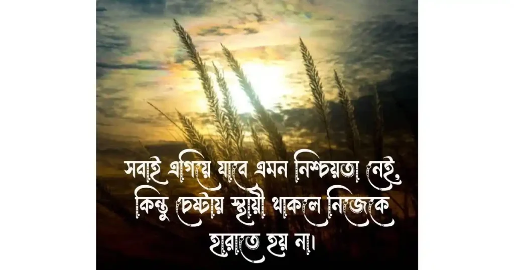 সোস্যাল মিডিয়ায় পোস্ট করার জন্য মোটিভেশনাল কথা