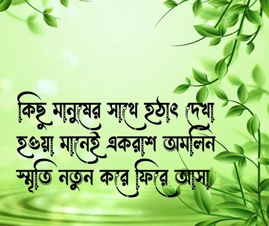 হঠাৎ দেখা নিয়ে স্ট্যাটাস