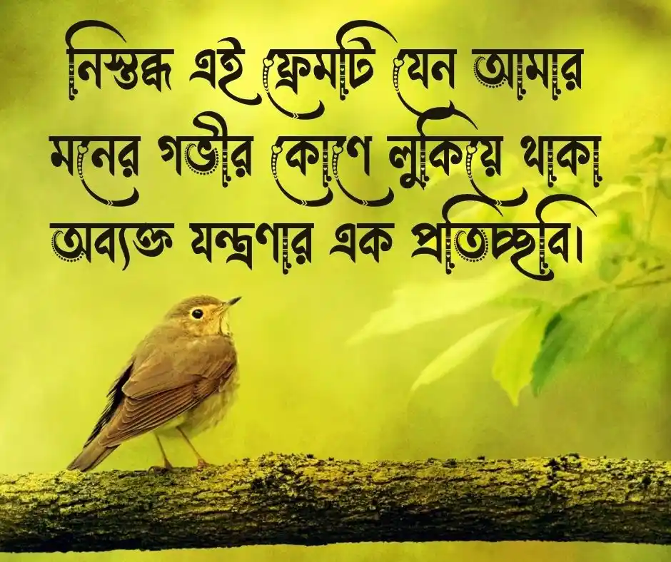 হতাশার ছবি হতাশার পিক