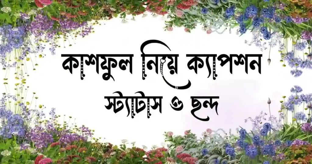 কাশফুল নিয়ে ক্যাপশন, স্ট্যাটাস ও ছন্দ