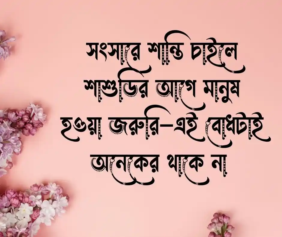 খারাপ শাশুড়ি নিয়ে উক্তি