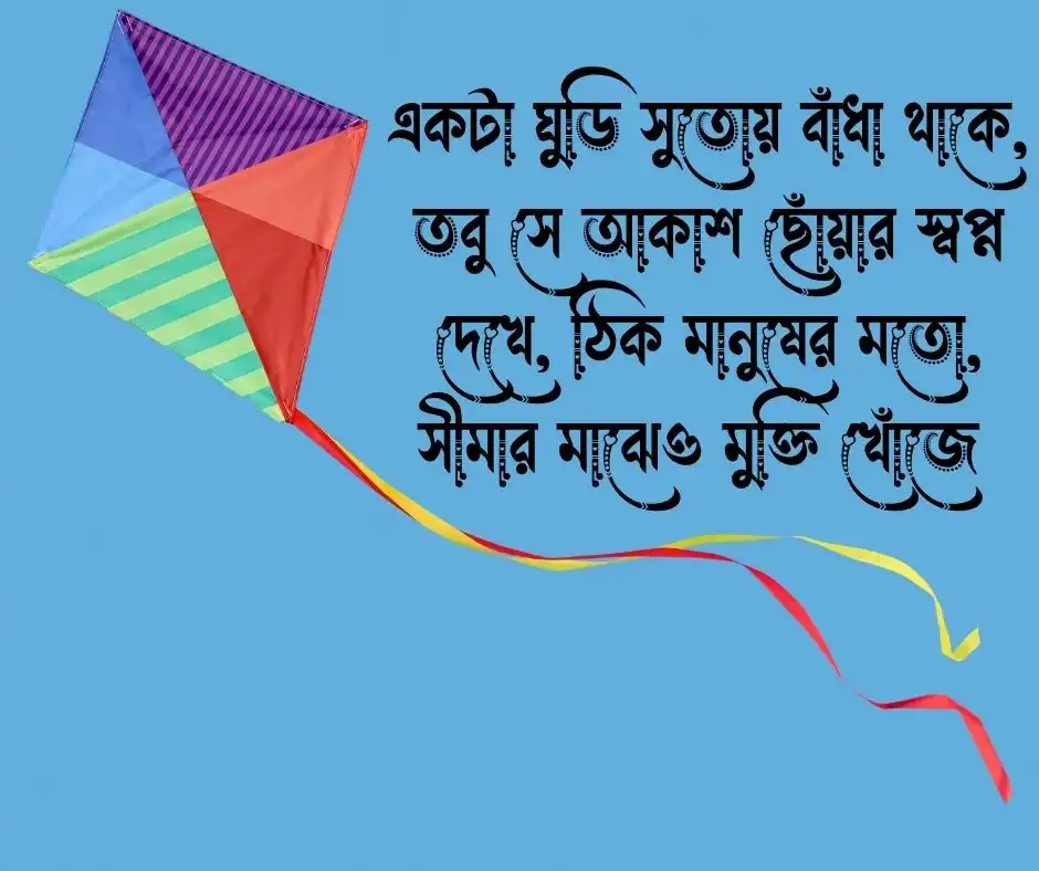 ঘুড়ি নিয়ে ক্যাপশন