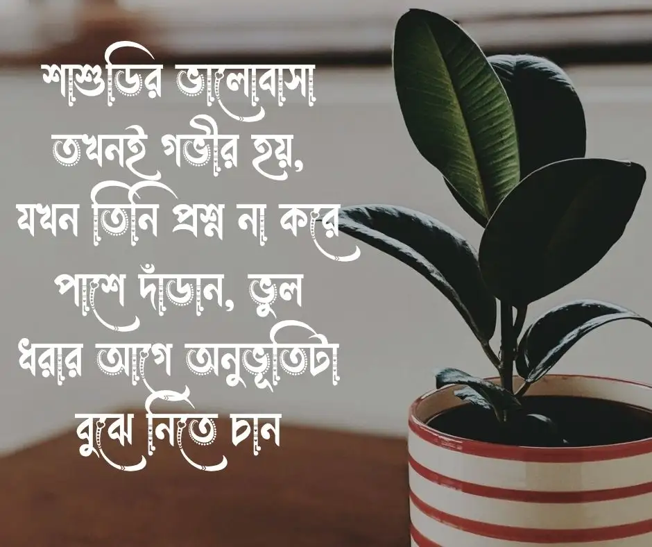 ভালো শাশুড়ি নিয়ে উক্তি