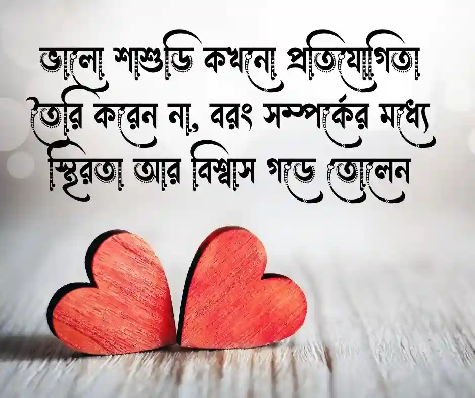 ভালো শাশুড়ি নিয়ে স্ট্যাটাস
