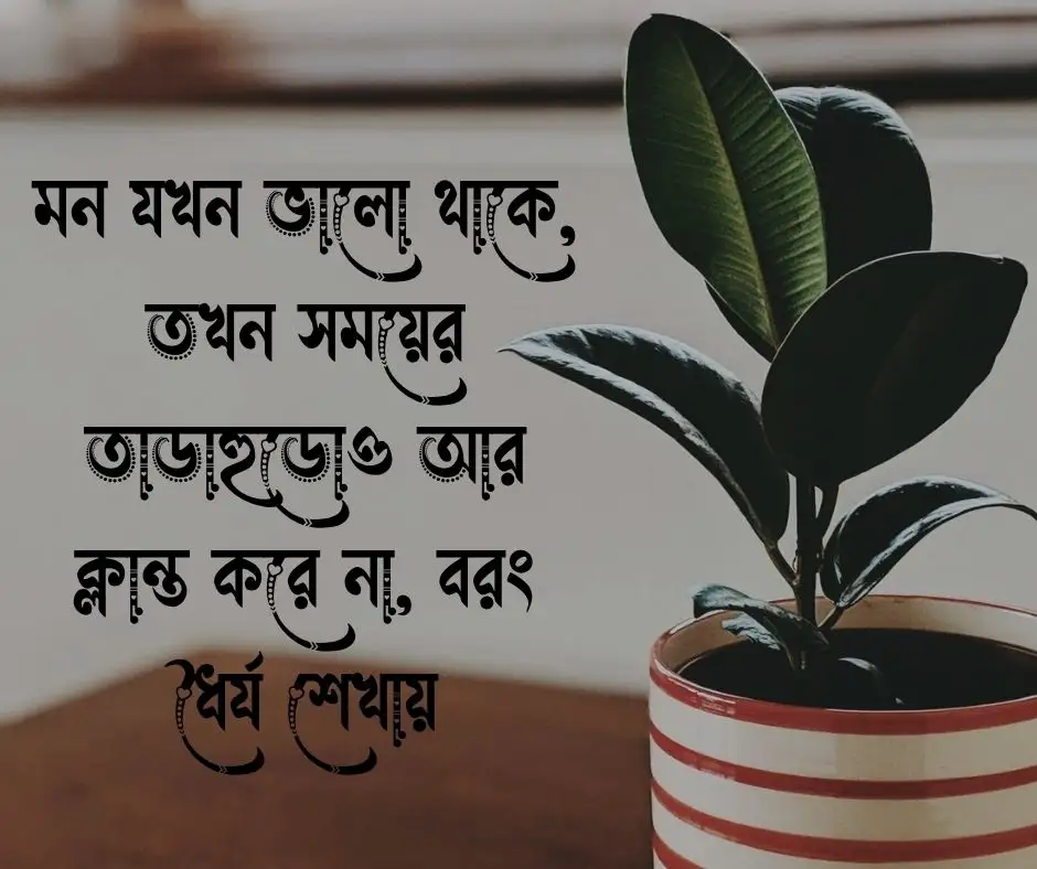 মনের আনন্দ নিয়ে উক্তি