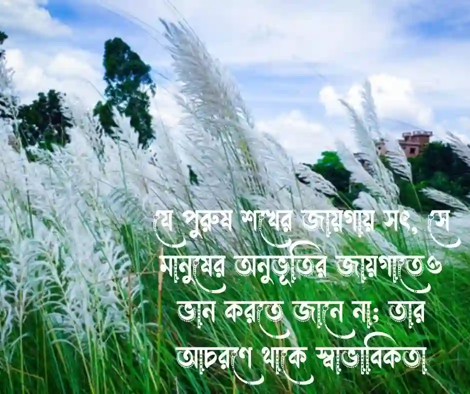 শখের পুরুষ নিয়ে উক্তি
