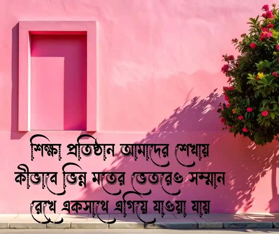 শিক্ষা প্রতিষ্ঠান নিয়ে উক্তি
