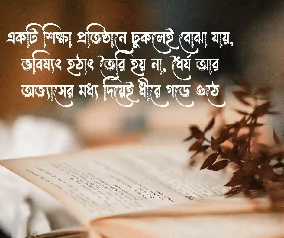 শিক্ষা প্রতিষ্ঠান নিয়ে উক্তি