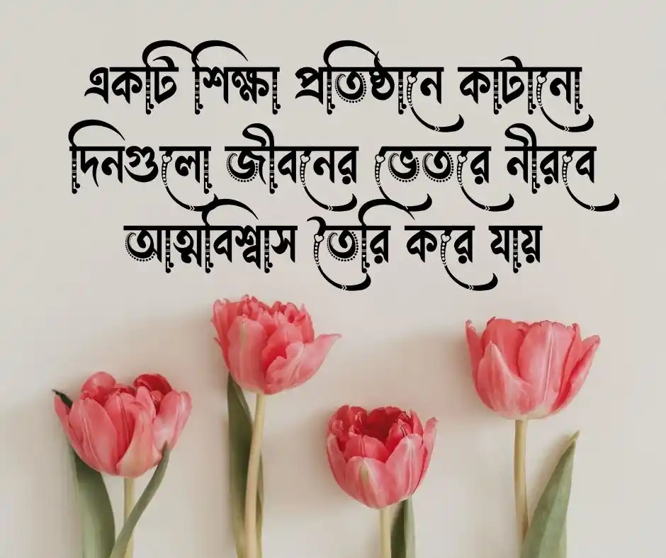 শিক্ষা প্রতিষ্ঠান নিয়ে ক্যাপশন শিক্ষা প্রতিষ্ঠান নিয়ে স্ট্যাটাস