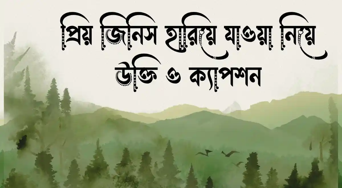 প্রিয় জিনিস হারিয়ে যাওয়া নিয়ে উক্তি ও ক্যাপশন