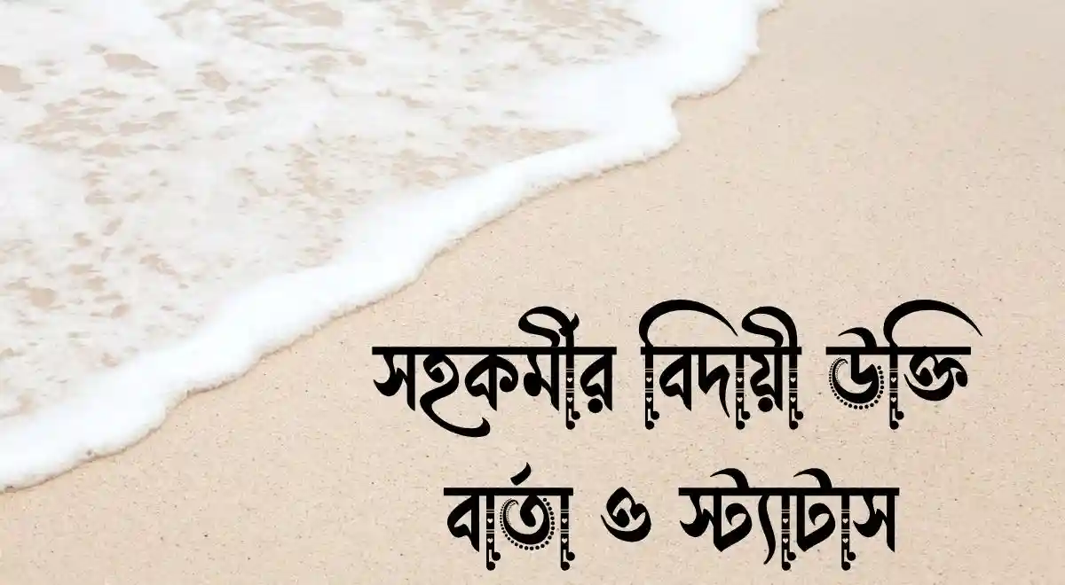 সহকর্মীর বিদায়ী উক্তি, স্ট্যাটাস